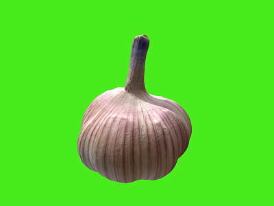 Fresh Whole Garlic Bulb With Purple Stripes On Bright Green Background 3d model