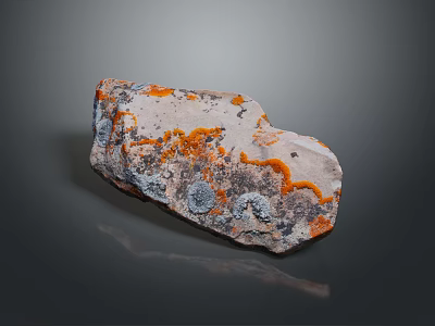 Natural Wood Stone Featuring Orange and Gray Spots on Textured Surface for Home Decoration 3d model