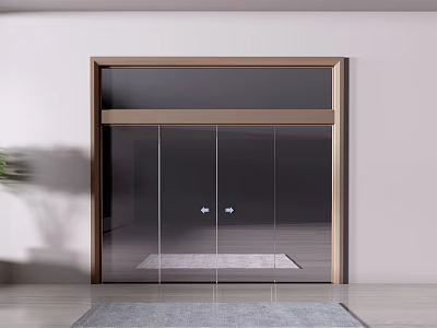Modern Interior Sliding Glass Door With Gold Frame Gray Rug And Wooden Floor 3d model