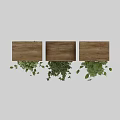 Decorative Indoor Hanging Basket Plants With Wooden Frame And Trailing Green Foliage