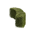 Well Trimmed Green Shrubs In Various Shapes For Garden Landscape Design
