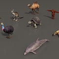 Animal Mammal Low Model Animal Low Face Number Animal Game Animal Animal Simple Model Realistic Animal Camel Kangaroo Ostrich Turtle Lizard 3d model