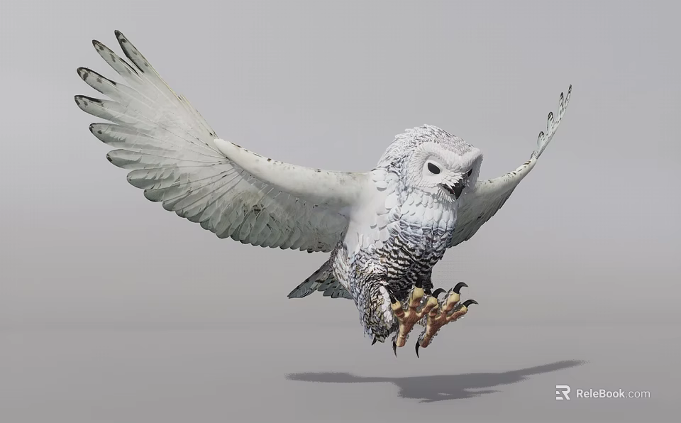 Snowy Owl Flying With Spread Wings White Gray Plumage Detailed Feathers In Mid Flight 3d model 