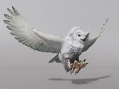 Snowy Owl Flying With Spread Wings White Gray Plumage Detailed Feathers In Mid Flight 3d model
