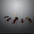 Group of Ants With Different Sizes and White Eggs On Dark Background