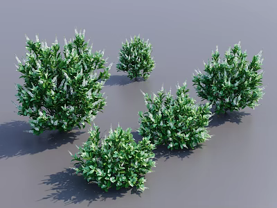 Five Green Leafy Shrubs For Garden Landscape Decoration And Design 3d model