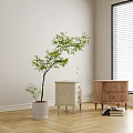 Light and Wooden Bedside Tables with Drawers and Smooth Finish Near Green Plant by Window