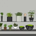 Green Plant Wall Design With Various Potted Plants And Different Planters On Shelves