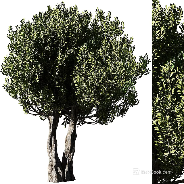 Healthy Modern Tree Pit With Twin Trees And Dense Green Foliage 3d model 