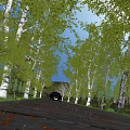 Scenic Road Facilities With Lined Trees Fallen Leaves And Passing Car