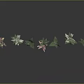 Beautiful Pink And White Flowers With Green Stems And Leaves On Black Reflective Background