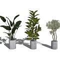 Indoor Potted Plants With Grey Cylindrical Pots And Different Green Foliage Shapes
