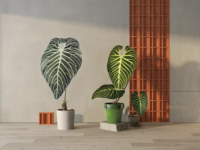 Large Potted Bonsai Plants With Distinct Veins In White Green Pots And Orange Grid Background 3d model
