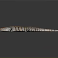 Brown And White Striped Lizard With Long Tail On Dark Background