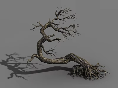 Leafless Tree with Twisted Trunk and Exposed Roots on Gray Background 3d model