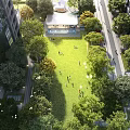 Urban Aerial View Planning With Green Lawn Trees And High Rise Buildings