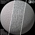 Three Varied Component Surface Textures Samples Showing Detailed Structural Features