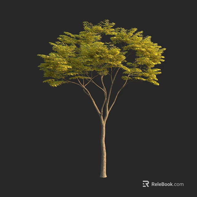 Ornamental Arbor With Dense Green Foliage And Straight Trunk For Garden Landscape 3d model 