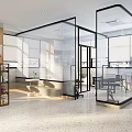 Modern Cat Themed Pet Shop with Shelves Cat Trees Plants and Paw Prints