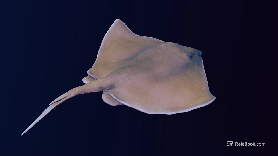 Stingray Swimming In Dark Underwater Environment With Flat Body And Long Tail 3d model 