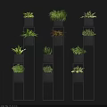 Stylish Bonsai Potted Plants On Black Tiered Shelves With Various Green Foliage