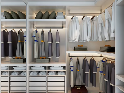 Modern Walk In Closet Interior Design With Hanging Clothes Folded Clothes And Storage Drawers 3d model