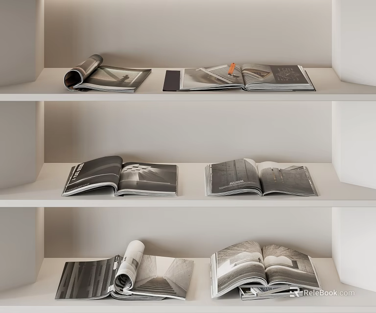 Open Books And Magazines Arranged On Three Shelves In Monochrome Tone 3d model 
