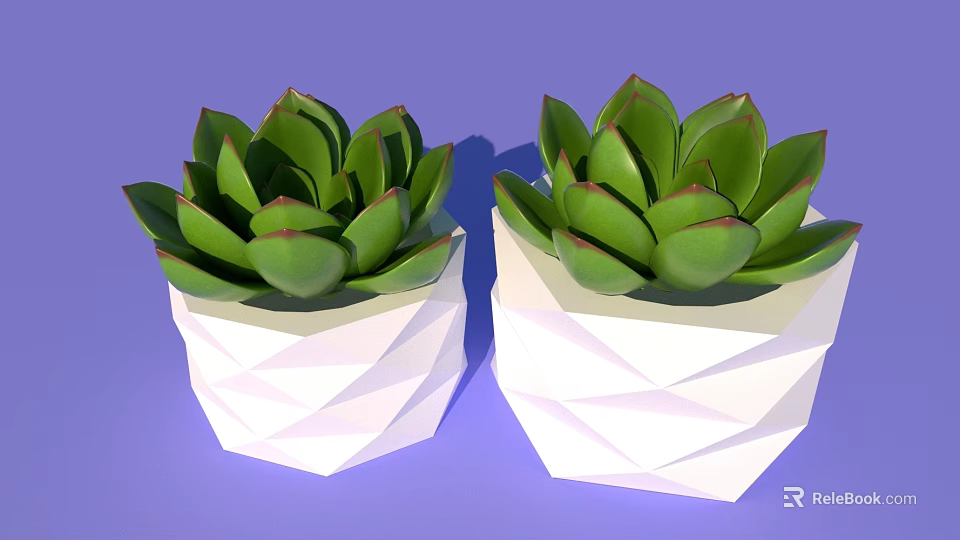 Two Potted Succulent Plants in White Geometric Design Pots with Green Fleshy Leaves 3d model 