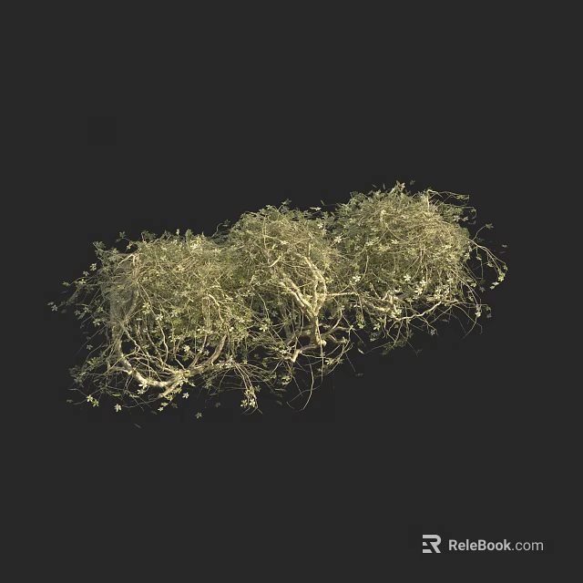 Clustered Green Shrubs With Vining Structures And Leaves On Black Background 3d model 