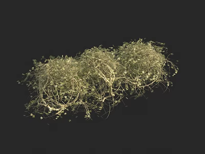 Clustered Green Shrubs With Vining Structures And Leaves On Black Background 3d model