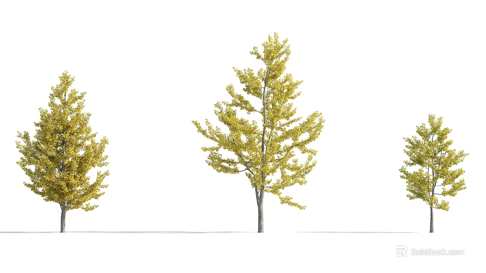 Tall Lush Autumn Trees with Bright Yellow Leaves and Straight Trunks 3d model 