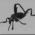 Black Insect Metal Sculpture With Detailed Artistic Design And Lifelike Features