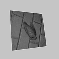 Black and white bird with red head lying on gray tiled ground 3d model