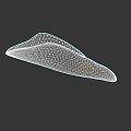 Silver Yellow Striped Aquatic Eel With Elongated Body And Smooth Skin In Dark Background