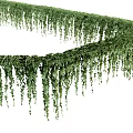 Lush Hanging Basket Plants With Trailing Green Vines For Home Decoration