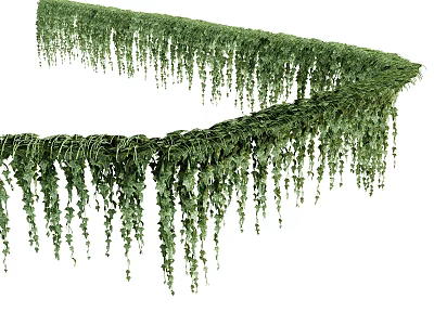 Lush Hanging Basket Plants With Trailing Green Vines For Home Decoration 3d model