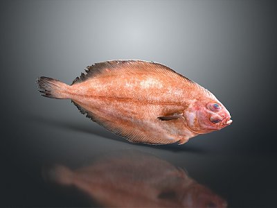 Fish flounder partial mouth fish freshwater fish sea fish animal game animal cartoon animal 3d model