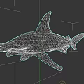 Detailed Hammerhead Shark 3D Model Showcasing Distinctive Head Shape And Fins