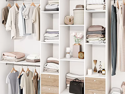 Organized Modern Closet With Hanging Clothes Folded Items Drawers And Storage Shelves 3d model