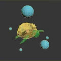Turtle Cartoon Turtle Snapping Turtle Chickbill Turtle Reptile Cold Blooded Animal Reptile Class 3d model