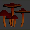 Vibrant Red Mushrooms with Orange Stems on Dark Glossy Background