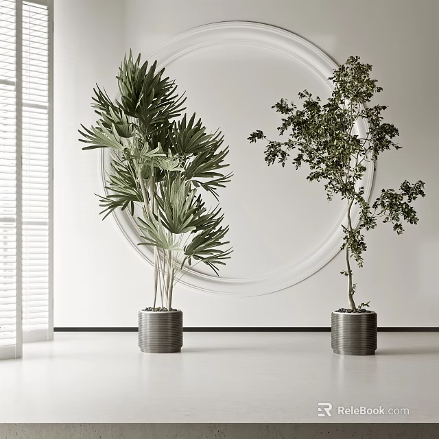 Stylish Potted Bonsai Plants with Lush Foliage in Metal Planters and Minimalist White Room 3d model 