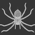 3D Rendered Brown Spider With Long Legs On White Background