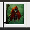 Red Orangutan Canvas Art With Tree Branch And Green Background