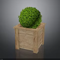 Green Round Topiary Plant In Wooden Square Decorative Planter Box