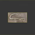 Detailed Snake Skeleton Exhibit Placed on a Brown Wooden Board Surface