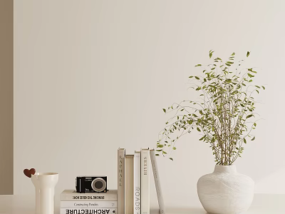 Modern Minimalist Decorative Ornament Combination With White Vase Green Foliage Books And Camera 3d model