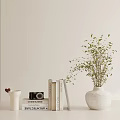 Modern Minimalist Decorative Ornament Combination With White Vase Green Foliage Books And Camera