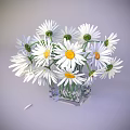 White Daisies With Yellow Centers In Transparent Square Glass Vase On Light Gray Background