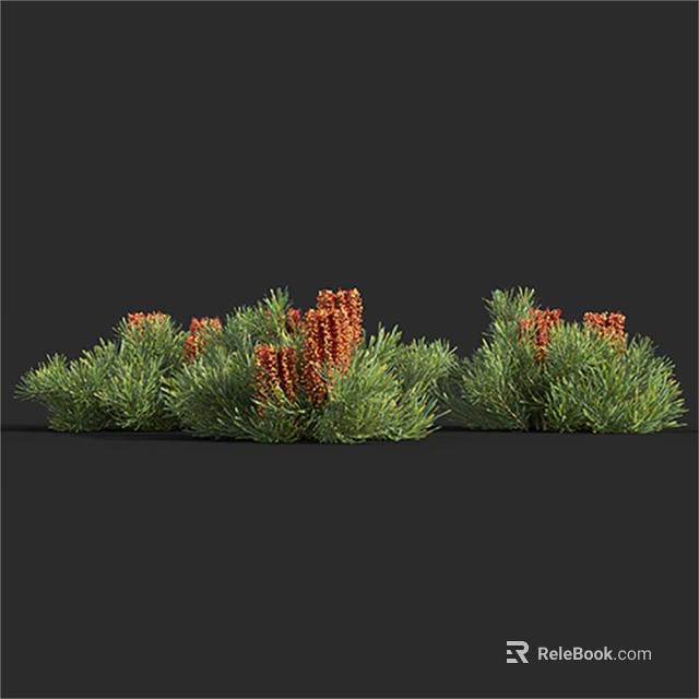Lush Green Shrubs With Clustered Red Blooms And Dense Foliage 3d model 